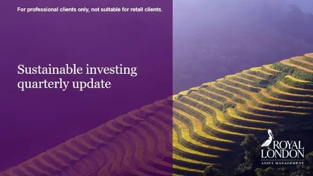 Sustainable investing: Key themes shaping markets
